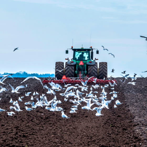 Traktor med plov kører på mark