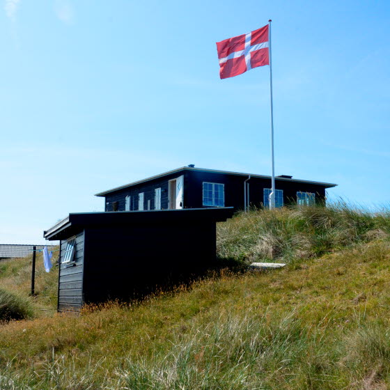 Sommerhus med flagstang og Dannebrogsflag på blå sommerhimmel