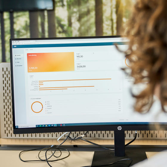 Kvinde sidder ved PC og kigger på Min ESG på skærmen