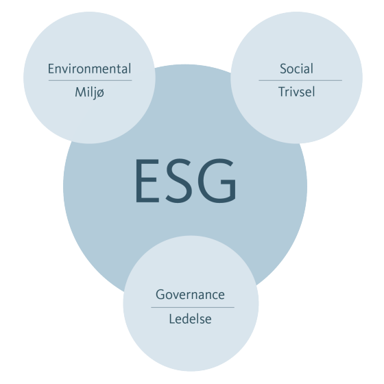 Figur der forklarer hvad ESG er